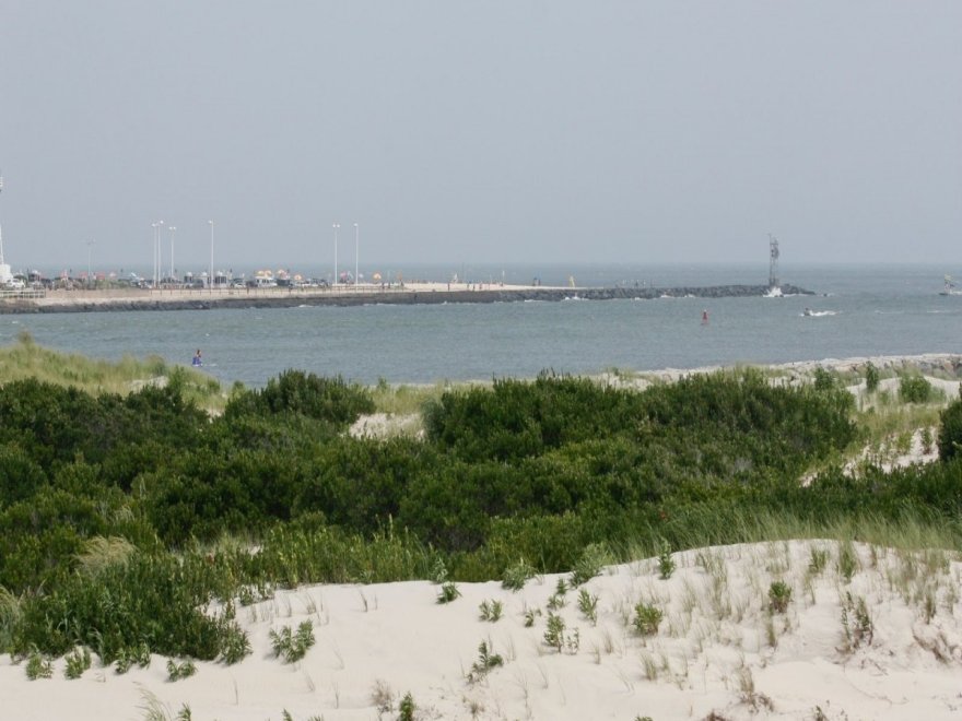 Assateague Island National Seashore