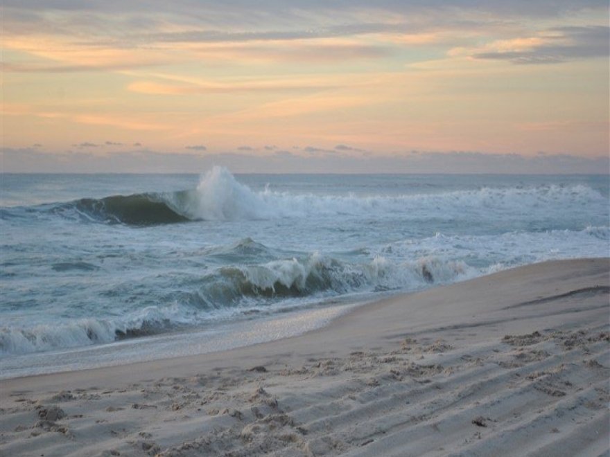 Assateague Island National Seashore