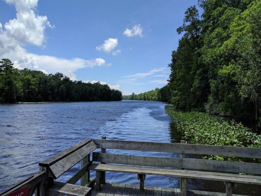 Pocomoke River State Park: Milburn Landing