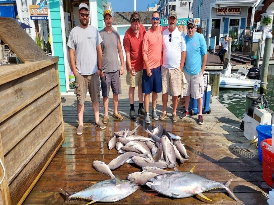 Fin Chaser Sportfishing Charters