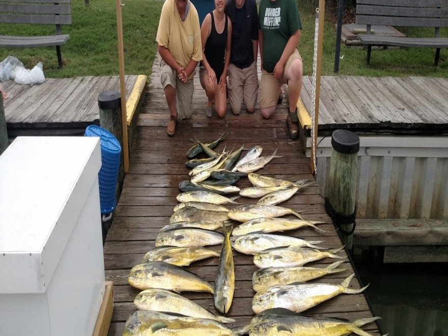 Fin Chaser Sportfishing Charters