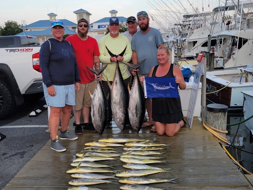 Spring Mix Charters