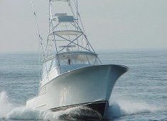 Spring Mix Charters