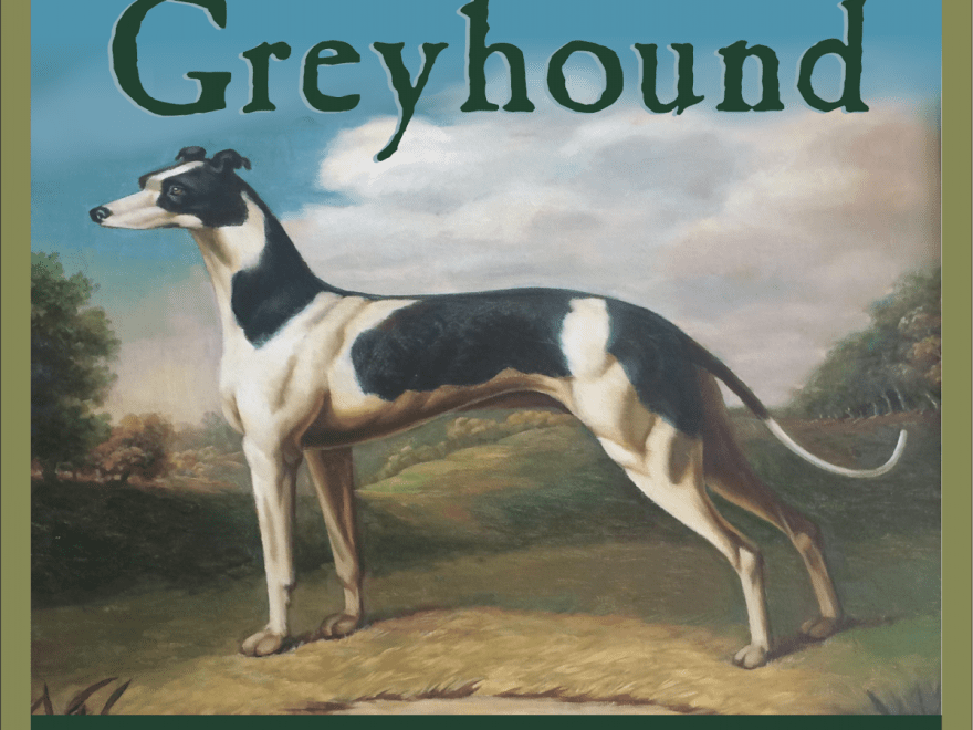 The Greyhound - An Indie Bookstore